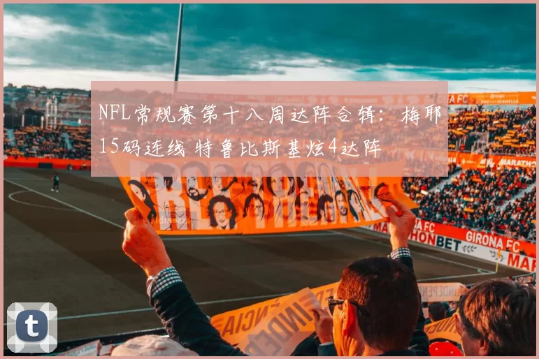 NFL常规赛第十八周达阵合辑：梅耶15码连线 特鲁比斯基炫4达阵
