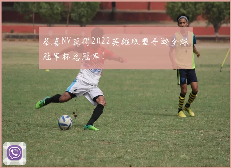 恭喜NV获得2022英雄联盟手游全球冠军杯总冠军！