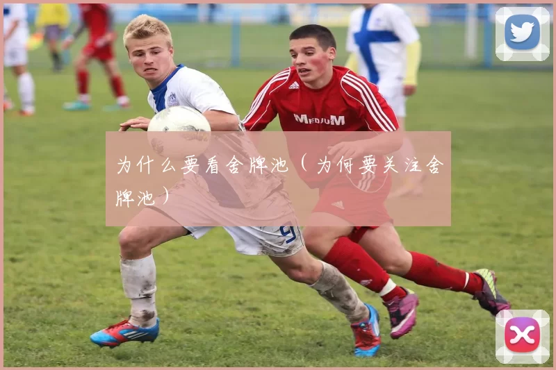 为什么要看舍牌池（为何要关注舍牌池）