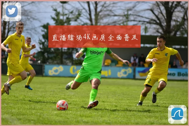 直播赌场4K画质全面普及