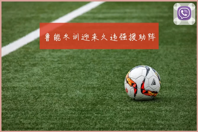 鲁能冬训迎来久违强援助阵