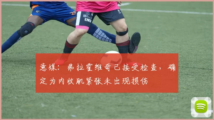 意媒：弗拉霍维奇已接受检查，确定为内收肌紧张未出现损伤