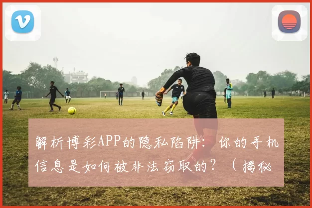 解析博彩APP的隐私陷阱：你的手机信息是如何被非法窃取的？（揭秘博彩应用的隐私黑洞：你的手机数据如何被悄然盗取？）